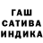 Конопля гибрид Gil Galin