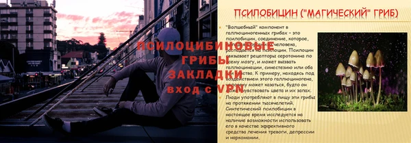 скорость Абаза