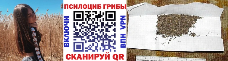 Галлюциногенные грибы мухоморы  цена наркотик  Гагарин 