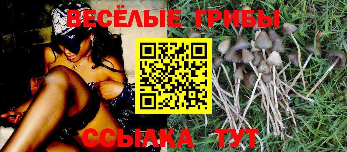 Галлюциногенные грибы MAGIC MUSHROOMS Гагарин