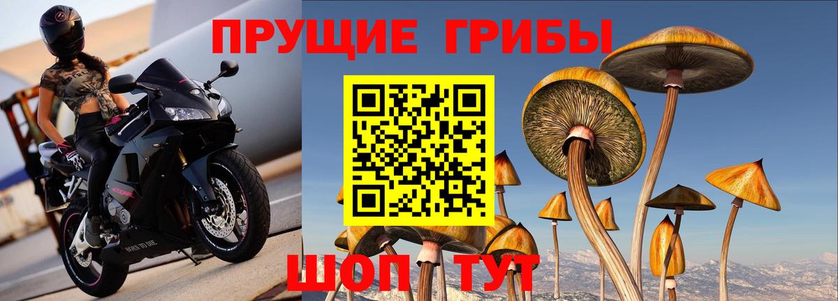 Гагарин  Галлюциногенные грибы GOLDEN TEACHER  Вход с VPN 